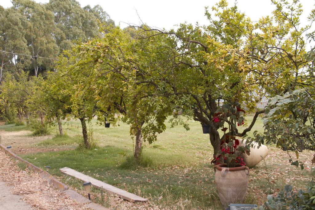Country & Beach B&B Capoterra Luaran gambar